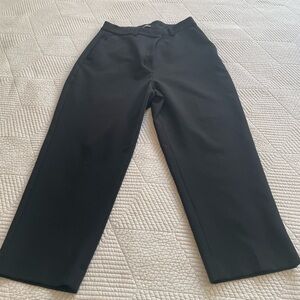 Express Editor Dress Pant